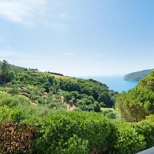 Mesco Levanto